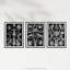 Ernst Haeckel Black White Vintage Illustrations Sea Marine - 3 Piece No Frame Print Set-2009515199