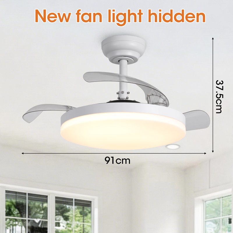 Ceiling Fan with LED Lights, 91cm Wide