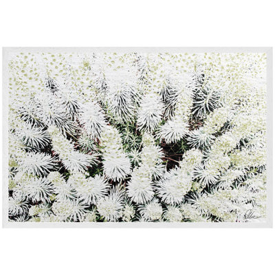 Single Picture Frame Print