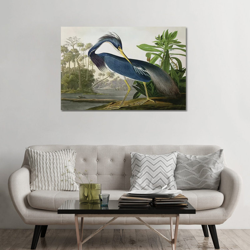 «Wick Louisiana Heron» par John James Audubon, reproduction sur toile, H 26 po x l 40 po, Toile tendue, Sans cadre