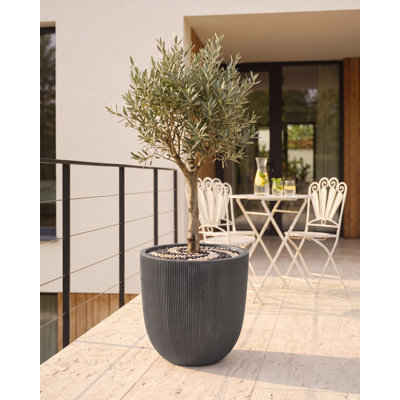 Pot Planter