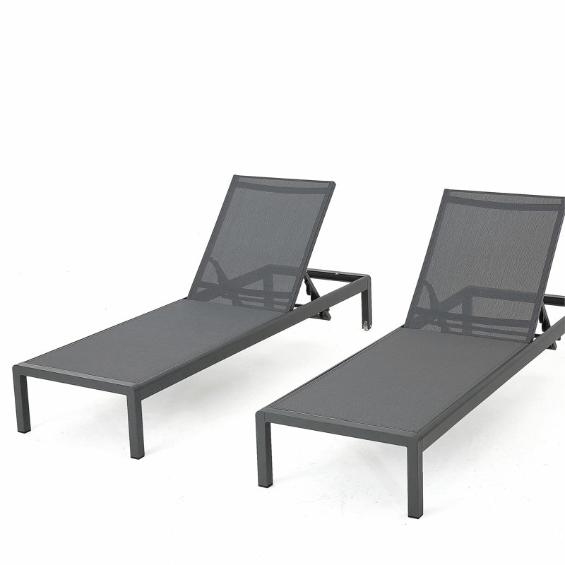 Chaise longue, ensemble de 2, pour l'extérieur, Gris