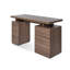 Hollice Writing Desk-116319069