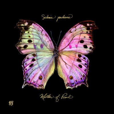 Papillon frappant III