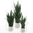 Artificial Sansevieria Snake Plant in Pot-1795791748