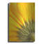 "Revers de fleur jaune" par Tom Quartermaine-879260529