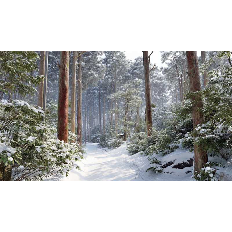 «Snowfall in Evergreen Valley», art mural sur toile, H 20 po x l 36 po