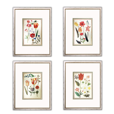 " Vintage Flower Illustrations " 4 - Pieces Painting Print
