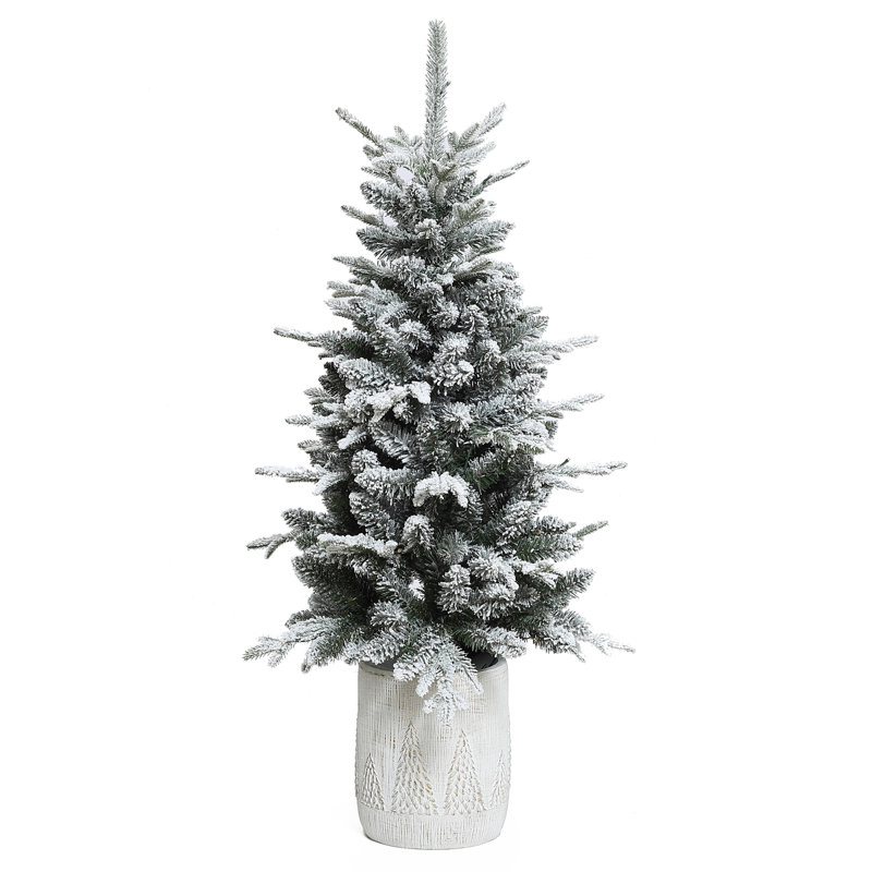 Hannia 4' Lighted Battery-Operated with Timer Artificial Pine Christmas Tree