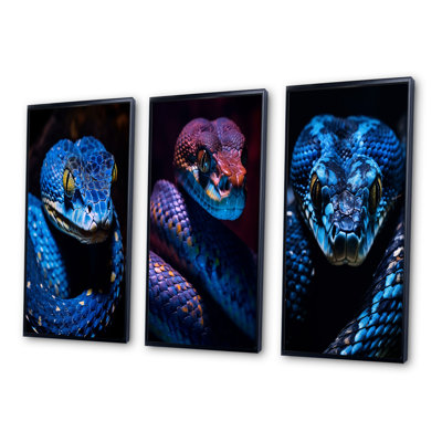 Portrait d'un serpent vipère bleu, faune, animaux, ensemble d'art de 3 pièces