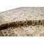 Silk Oriental Area Rug in Ivory