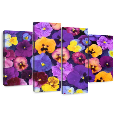 Couleurs Harnek Pansy