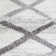 Salvador Abstract Area Rug
