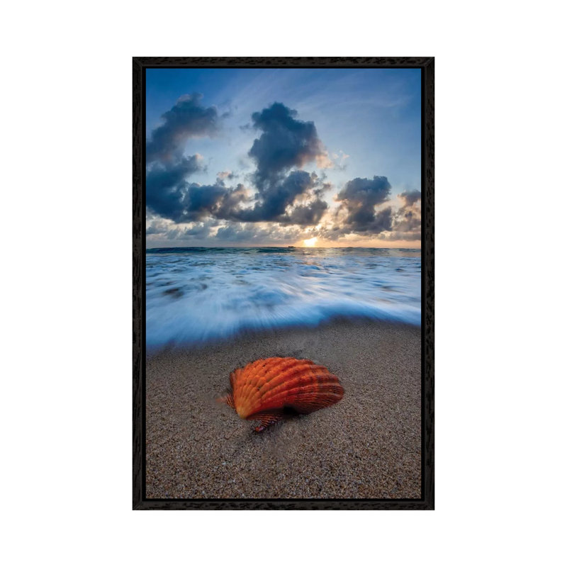 Amber Shell Sunrise by Sean Davey - Print on Canvas, 66.04cm H x 45.72cm W x 3.81cm D, Black Floater Framed