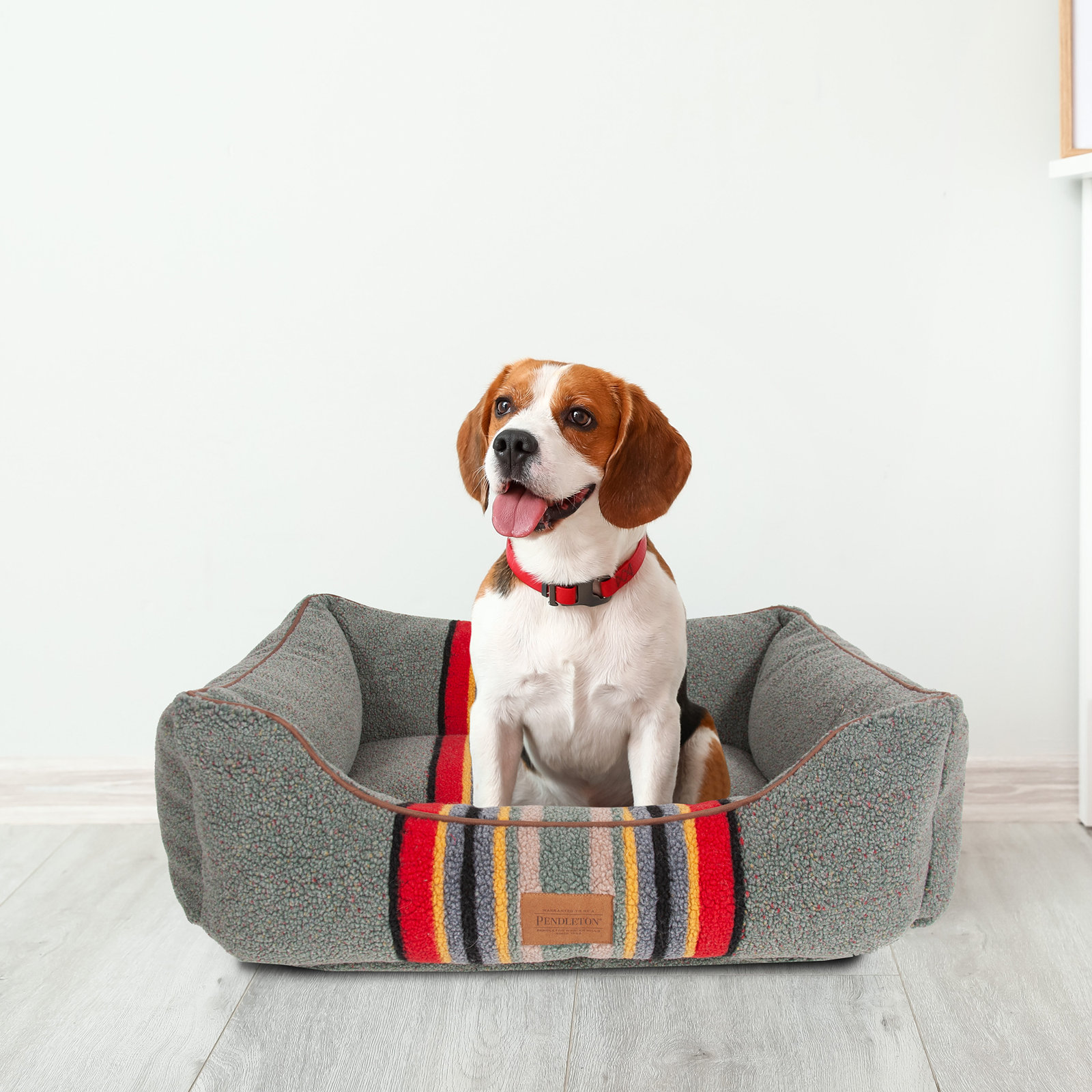 Yakima Striped Pet Bed, Medium ( 30"W x 24" D x 9" H), Green Striped Sherpa