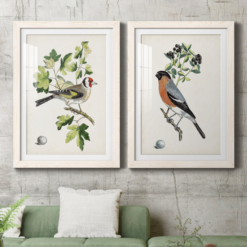 Oiseau antique, botanique et œuf III - ensemble de 2 reproductions d'art sur papier encadré, H 20 po x l 17 po x P 1 po