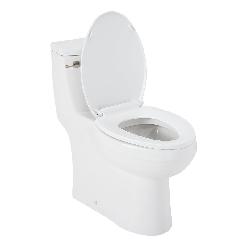Brinstead 1.28 GPF One Piece Elongated Toilet, White/Brushed Nickel
