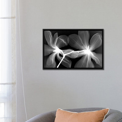 Magnolias IV par Hong Pham - Toile tendue avec châssis sur toile