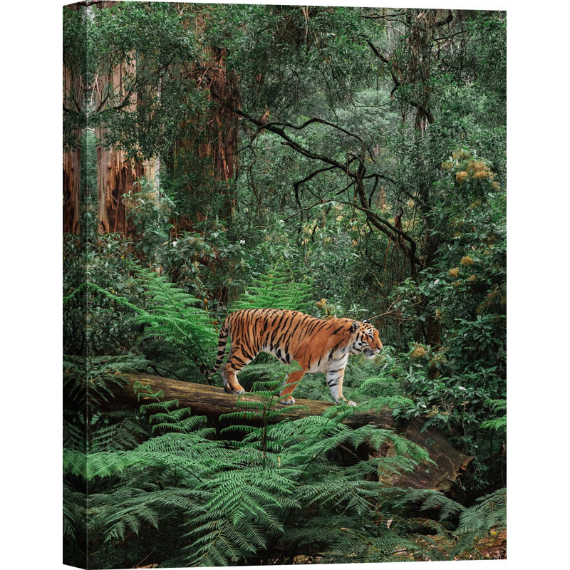 Tiger In The Jungle - No Frame Print on Canvas, 100cm H x 70cm W x 4cm D