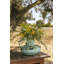 Olival Handmade Earthenware Table Vase