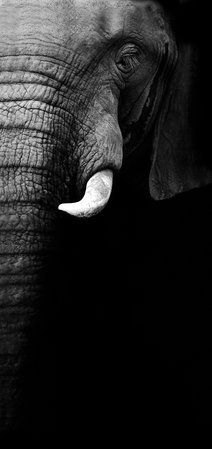 Wrapped Canvas Print, 50.8 cm H x 76.2 cm W