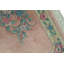 Wool Floral Area Rug in Brown