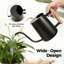Petit arrosoir en acier inoxydable 35 oz pour plantes d'intérieur et de jardin