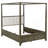 Dark Cocoa Canopy Bed