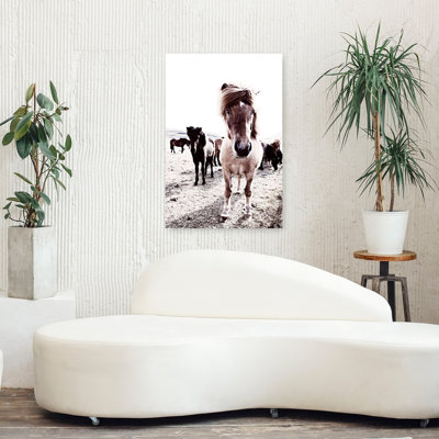 Islande, cheval, Rikka, art contemporain cheval
