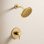 Align M-CORE 3-Series Shower Trim Kit