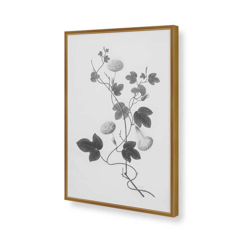 «Botanical VI» par Deborah Revell, reproduction d'art, H 30 po x l 20 po, Doré