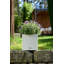 Moneak Planter Box-2032306924-2033258003