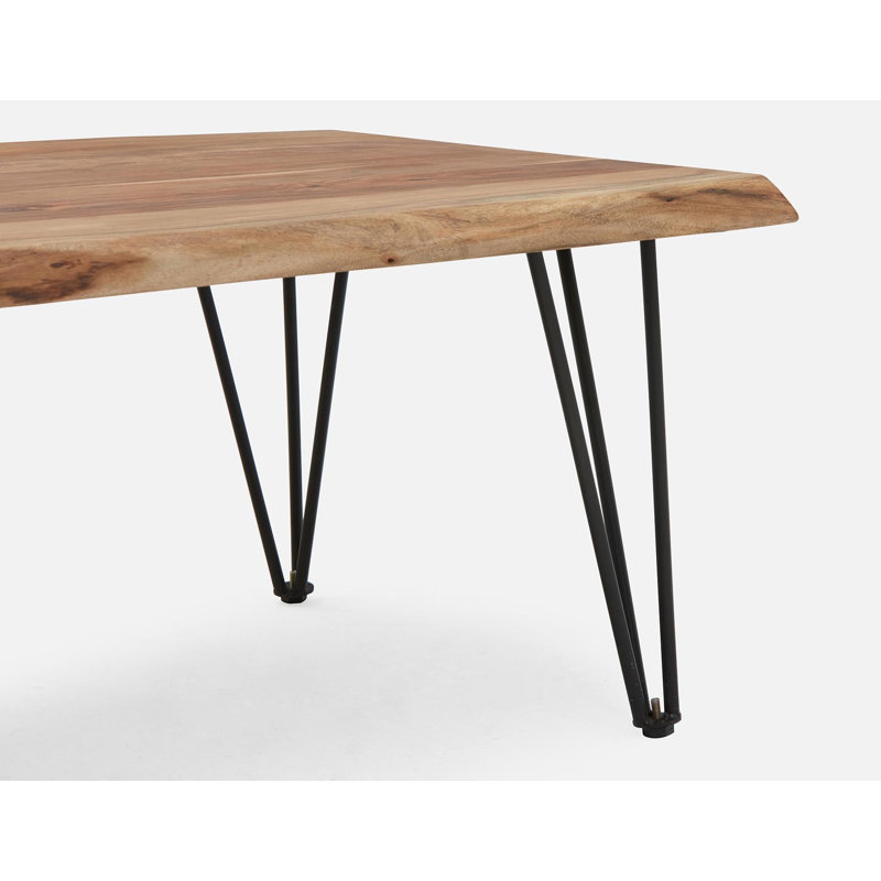 Table basse avec bord vivant 47,24 "x 25,98" x 17,72 "Terre
