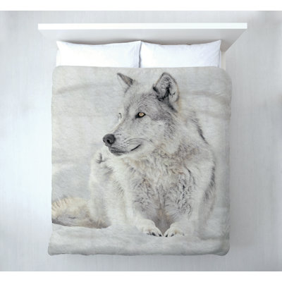 Jeté Sitting Wolf