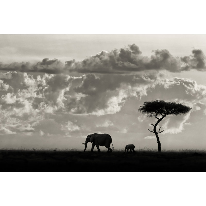 Wrapped Canvas Print, 76.2 cm H x 50.8 cm W