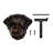 Labrador Retriever Door Knocker