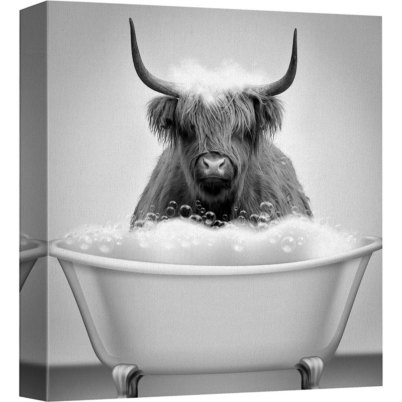 Animaux, animaux drôles, images de salle de bain Vache Shetland dans une baignoire, impression sur toile