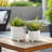 Charmayne Stoneware Ceramic Planter Set with Textured Design and Footed Base - Set of 2-1208997732