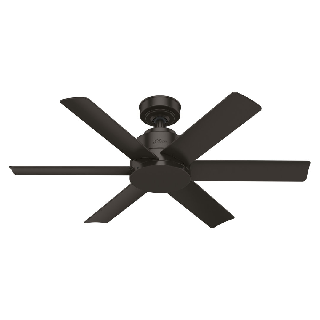 44" Kennicott 6 - Blade Modern Outdoor / Indoor Ceiling Fan with Wall Control Hunter Fan 