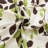 Hotel 5th Ave Bellagio Microfiber Geometric Sheet Set-205660251-205660240