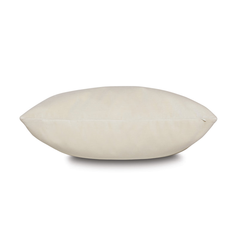 Velvet Square Pillow Cover & Insert, Plush Sea Salt, Feather