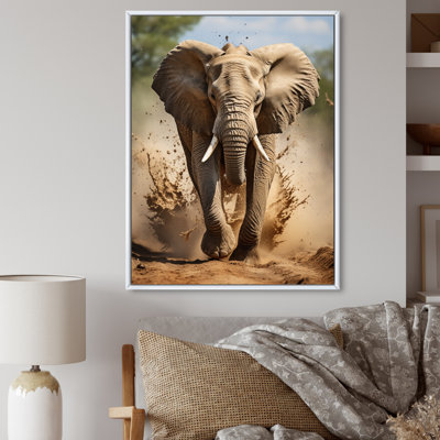 Kyley, photographie d'éléphants d'Afrique II