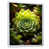 Cadre flottant blanc