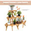 Bridenthal Wood Plant Stand