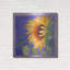 Luxe métal Art «Sunflower I» par Sharon Pitts, Meta «Sunflower I» par Sharon Pitts-101621996