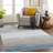 Demetra Rectangle Machine Woven Area Rug in Blue/Brown/Gray-79885583