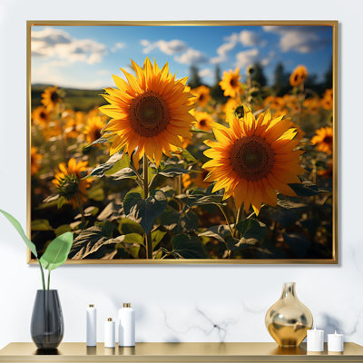 Zissy " Germany Sunflower Paradise Sunrise II "