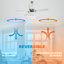 Roselli 132cm Ceiling Fan with Light Kit