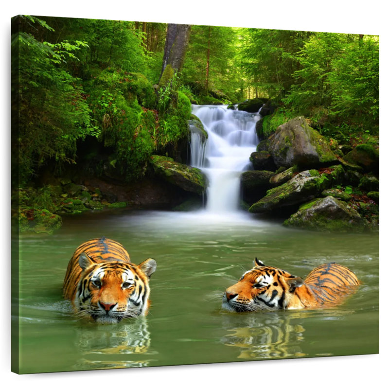 Brampt Tigers, 20" H x 20" W
