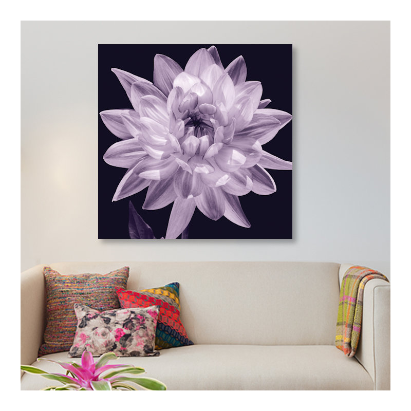 « white dahlia i », impression sur toile, H 18 po x l 18 po x p 1,5 po, Toile avec cadre noir, Pas de tapis